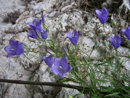 1 maggio a Lumignano (VI)